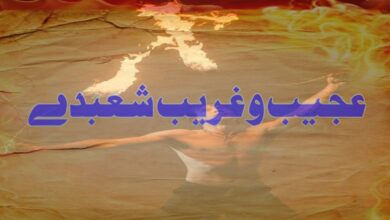 ajeeb-o-gareeb-shobday