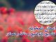 tilsim-asma-e-shamkhusiya-tashreeh-tauzeeh