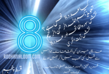numerology-in-urdu-digit-8 › Roohanialoom - روحانی علوم عدد 8 کے مجرب تعویذ و نقوش | کیا عدد 8 نحس ہے ؟ قسط پنجم